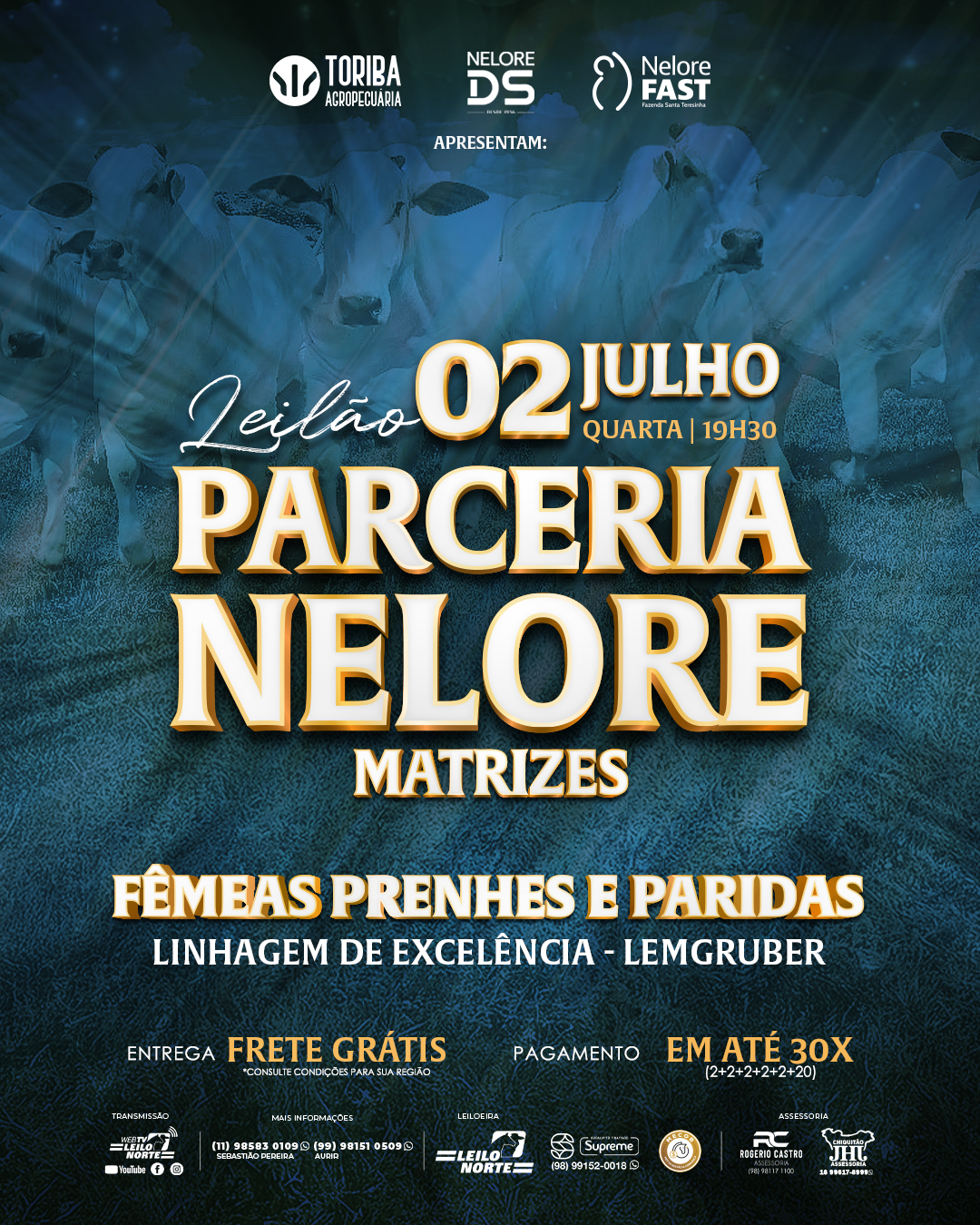 Nelore Matrizes